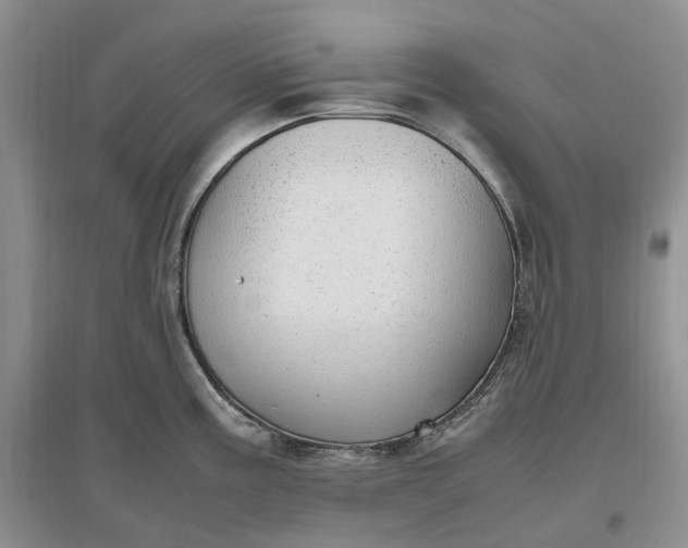 X0000097301195200802291807