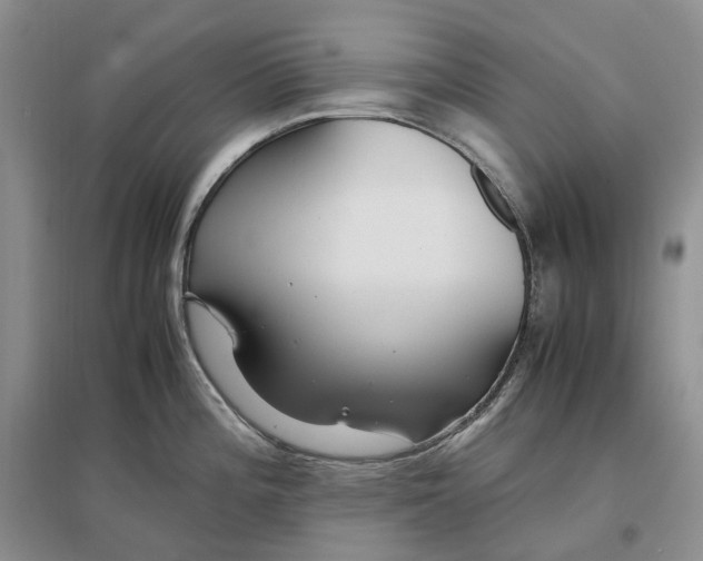 X0000097301196200802291807