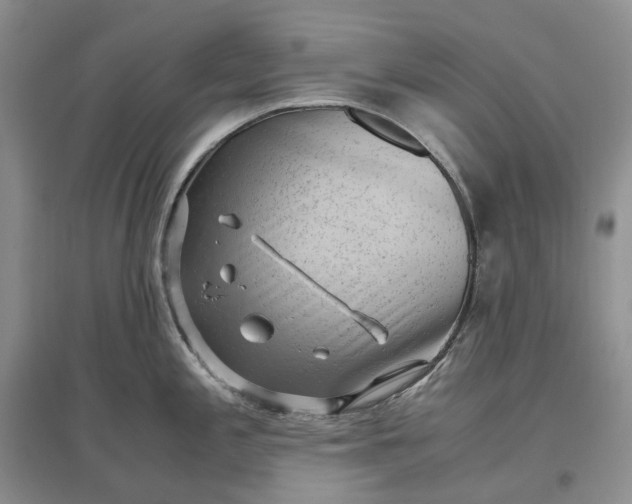 X0000097301197200802291806