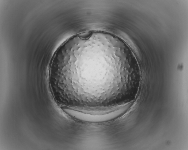 X0000097301198200802291806