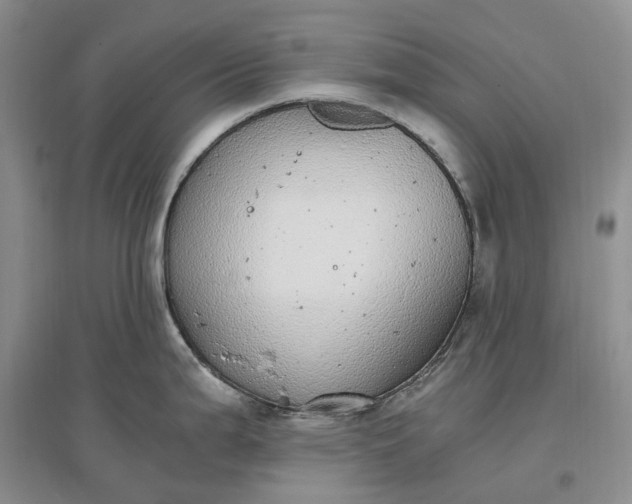 X0000097301199200802291806