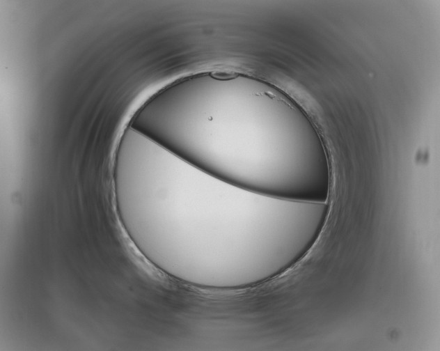 X0000097301200200802291806