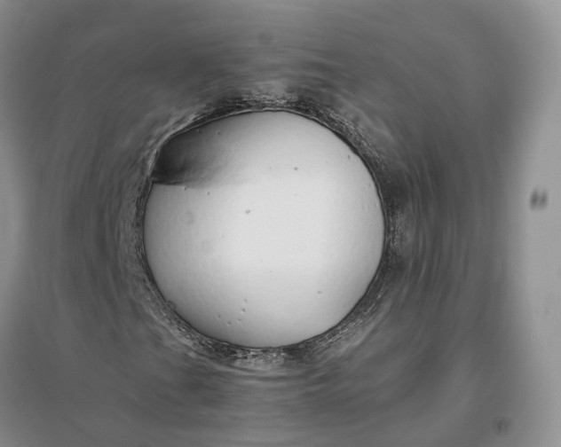 X0000097301201200802291806