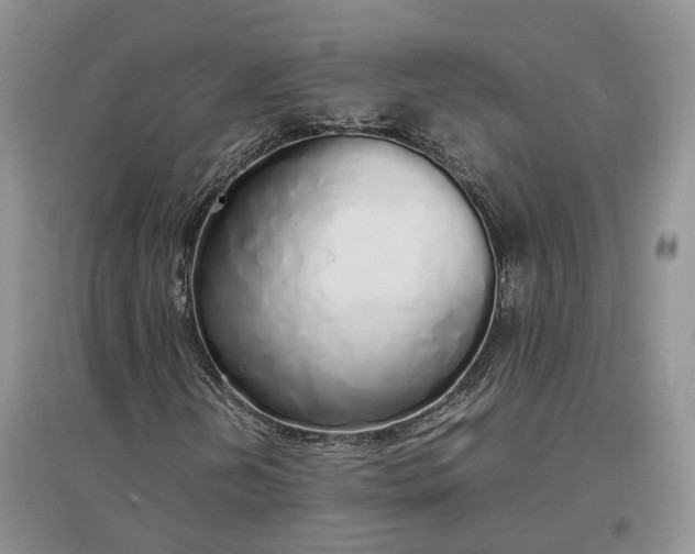 X0000097301202200802291806