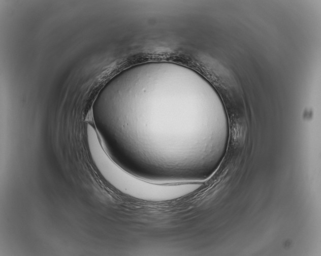 X0000097301204200802291806