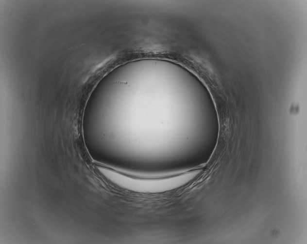 X0000097301205200802291806