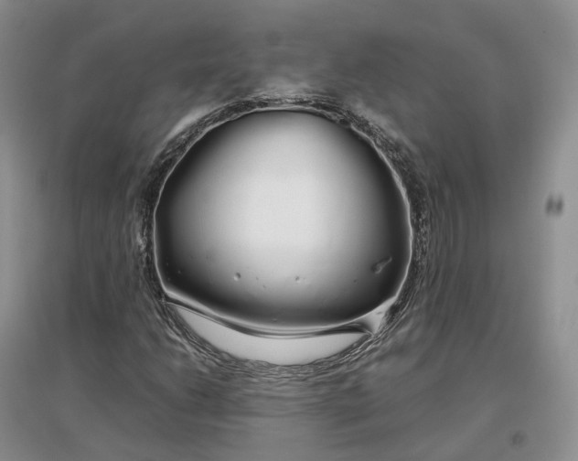 X0000097301206200802291806