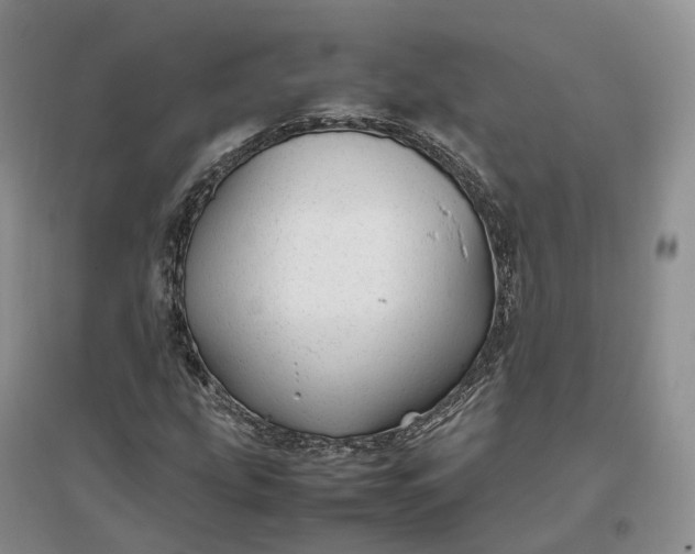 X0000097301207200802291806