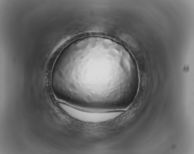 X0000097301208200802291806