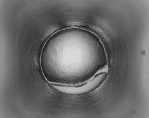 X0000097301209200802291806