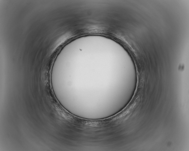 X0000097301211200802291806