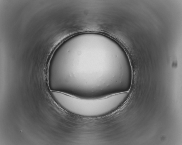 X0000097301212200802291806