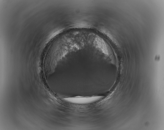 X0000097301213200802291806