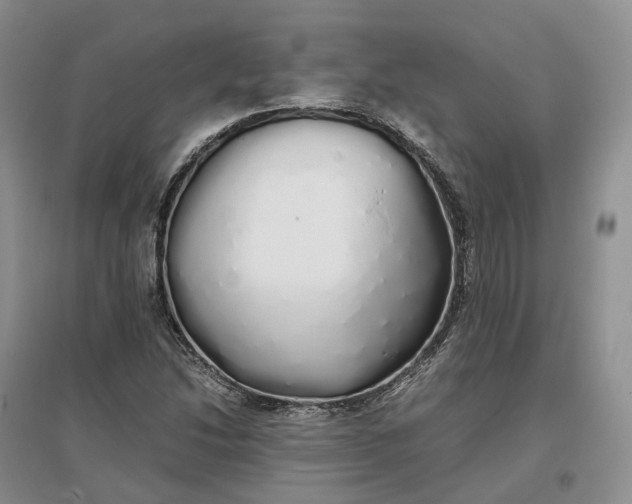 X0000097301214200802291806