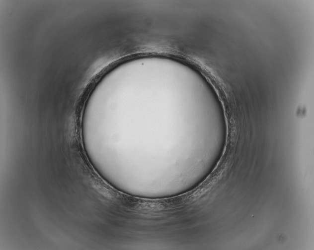 X0000097301215200802291806