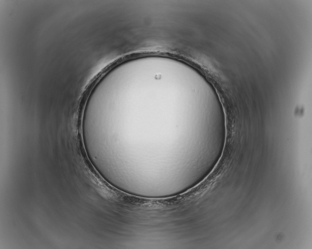 X0000097301216200802291806