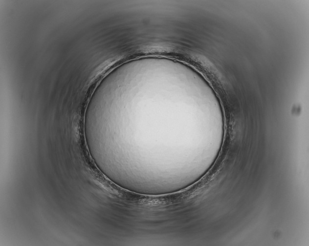 X0000097301217200802291806