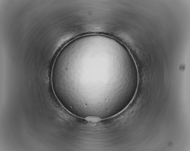 X0000097301218200802291806