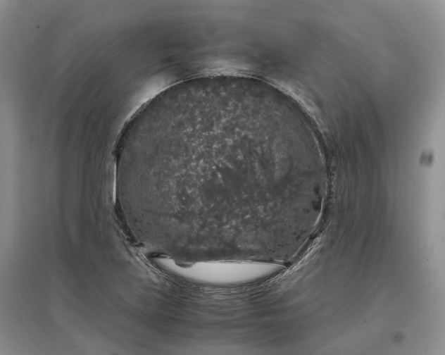 X0000097301219200802291806