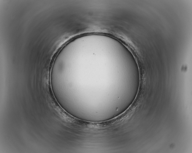 X0000097301220200802291806