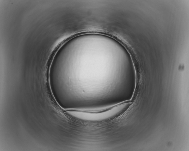 X0000097301222200802291806