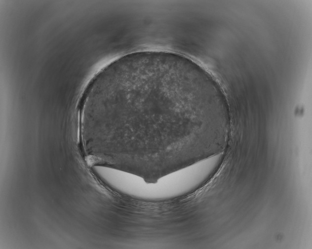 X0000097301223200802291806