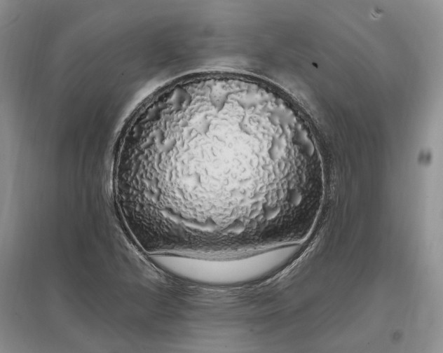 X0000097301224200802291806