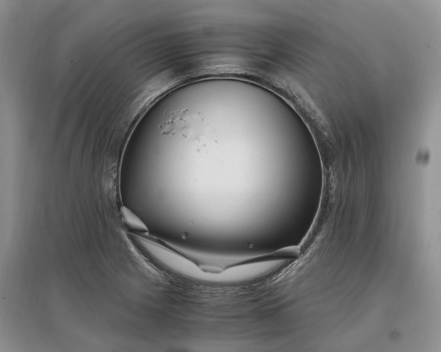 X0000097301225200802291806