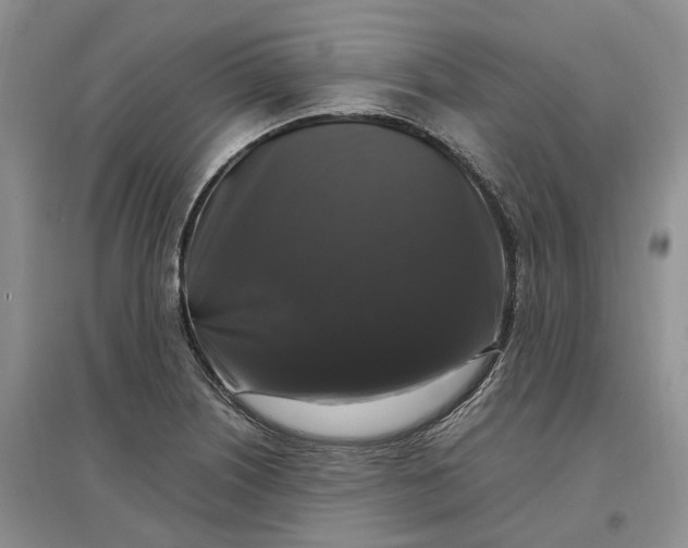 X0000097301226200802291806