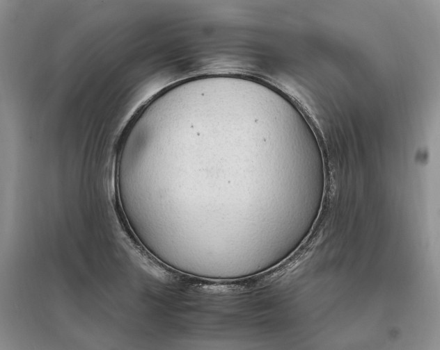 X0000097301227200802291806