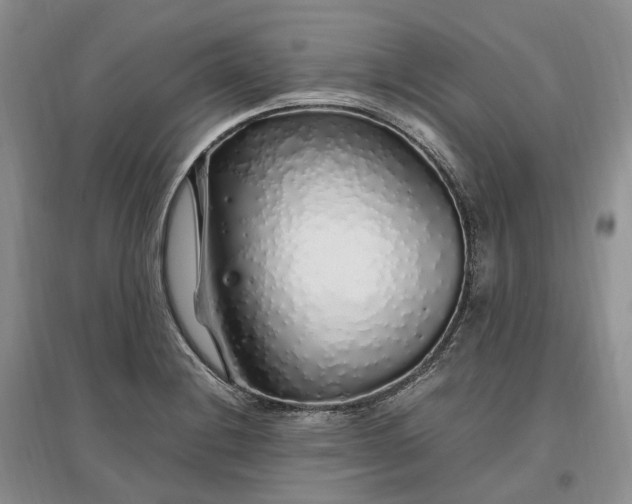 X0000097301228200802291806