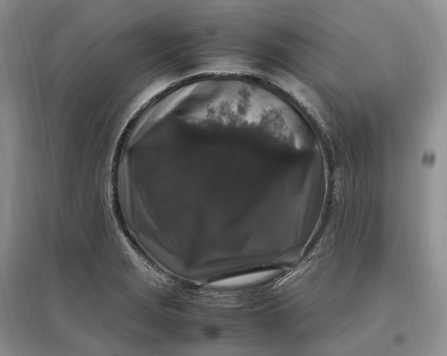 X0000097301229200802291806