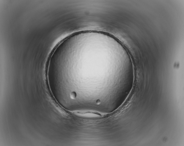 X0000097301230200802291806