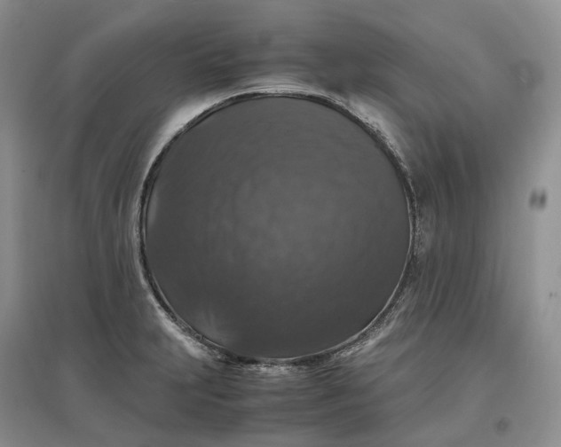 X0000097301231200802291806