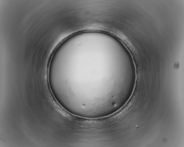 X0000097301232200802291806