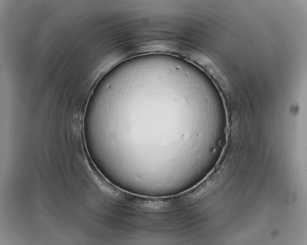 X0000097301233200802291806