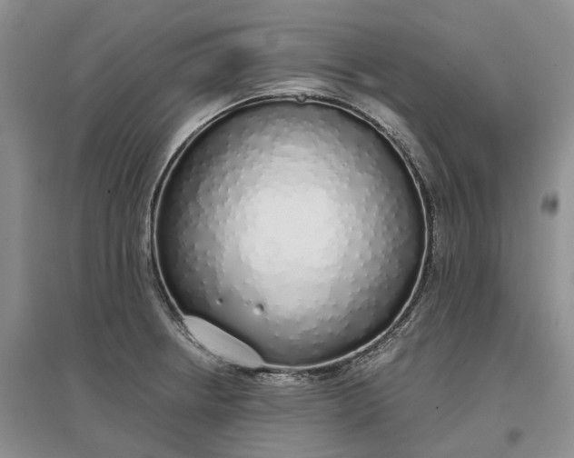 X0000097301234200802291806