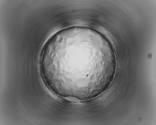 X0000097301235200802291806