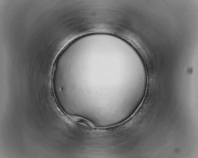 X0000097301236200802291806