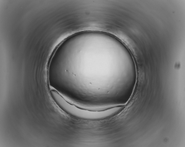 X0000097301238200802291806