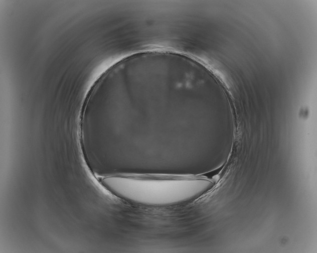 X0000097301239200802291806