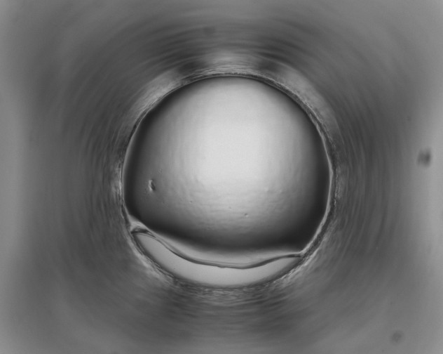 X0000097301241200802291806