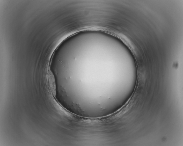 X0000097301244200802291806