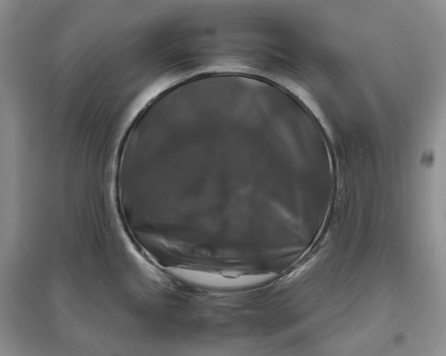 X0000097301245200802291806