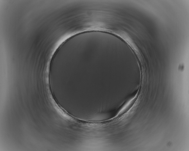 X0000097301246200802291806