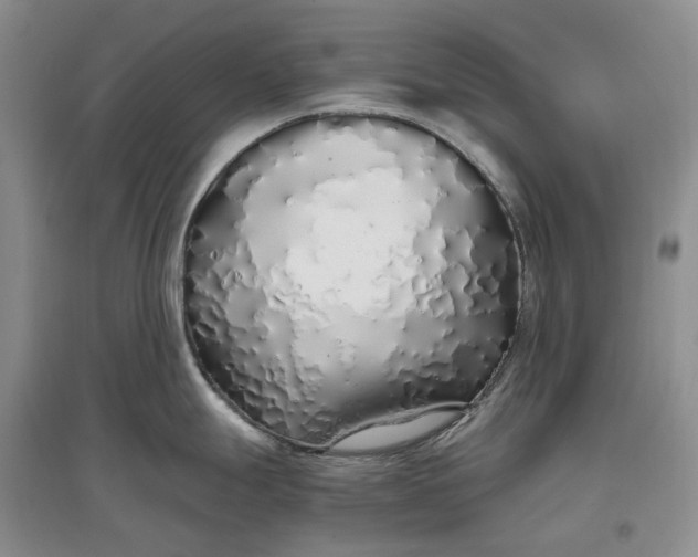 X0000097301247200802291806