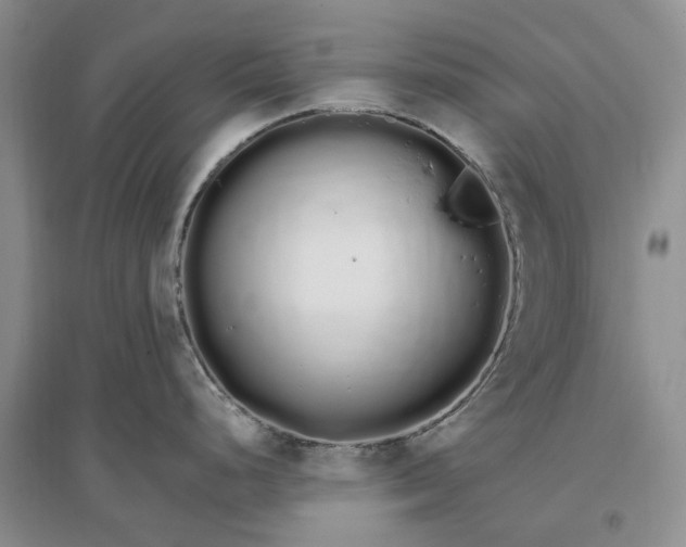 X0000097301248200802291806