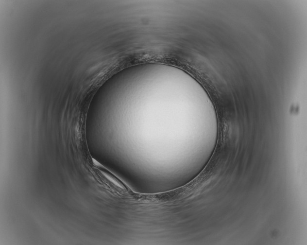 X0000097301250200802291806