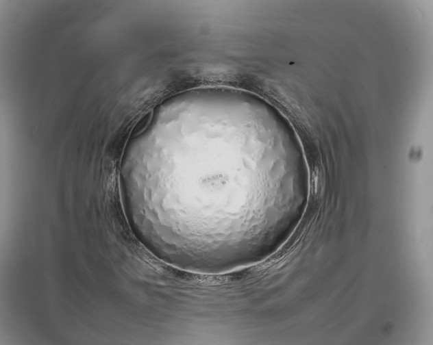 X0000097301251200802291806