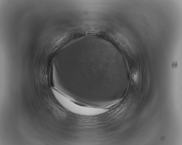 X0000097301252200802291806